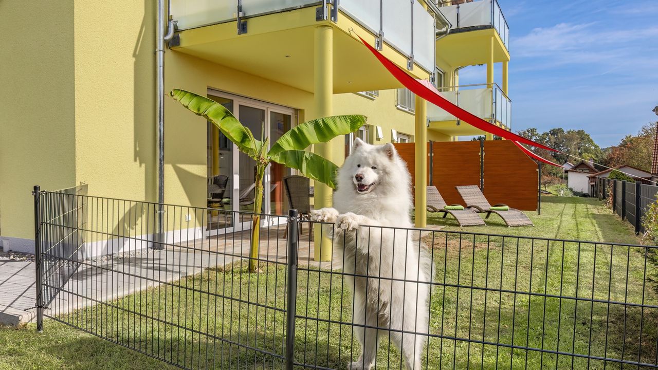 Hundeurlaub Ferienwohnung mit Hundezaun Hundeurlaub Ferienwohnung mit Hundezaun